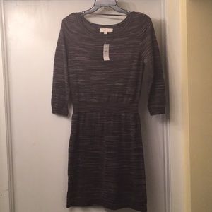 LOFT Knit Dress. Elbow length sleeve